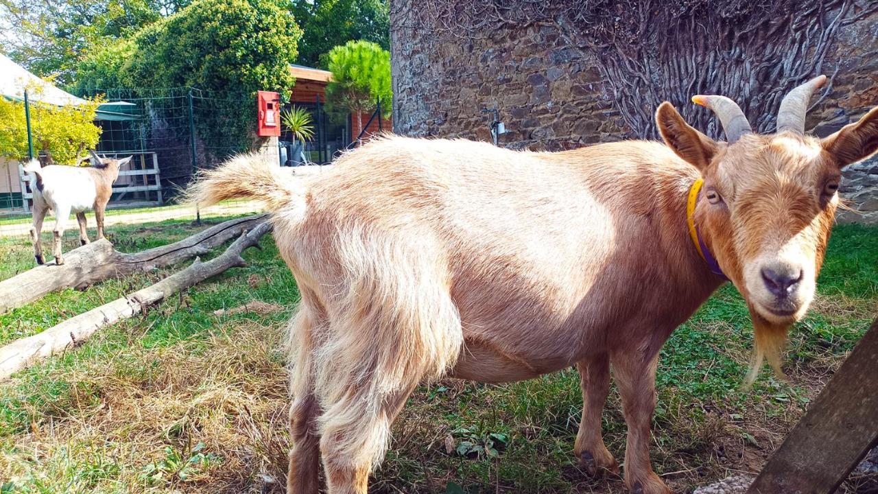 Glamping Terre & Mer Étables Dış mekan fotoğraf